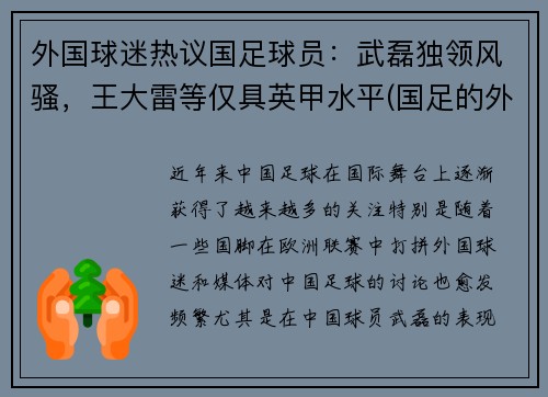 外国球迷热议国足球员：武磊独领风骚，王大雷等仅具英甲水平(国足的外国球迷)