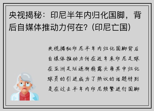 央视揭秘：印尼半年内归化国脚，背后自媒体推动力何在？(印尼亡国)
