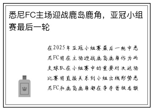 悉尼FC主场迎战鹿岛鹿角，亚冠小组赛最后一轮